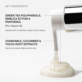 Pure Cleanse - Gentle Antioxidant Face Cleanser